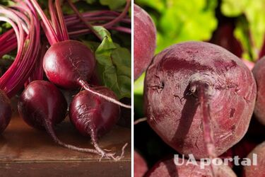 Як правильно зберігати буряк, щоб він не псувався і не став в'ялим