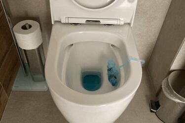 Як позбутися неприємного запаху в туалеті: топ натуральних освіжувачів повітря