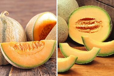 Как выбрать хорошую дыню по звуку запаха и внешнему виду