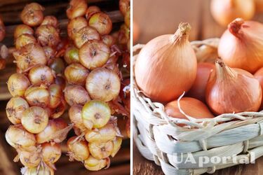 How to store onions