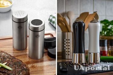 What to put in the salt shaker so that the salt does not get wet and caked