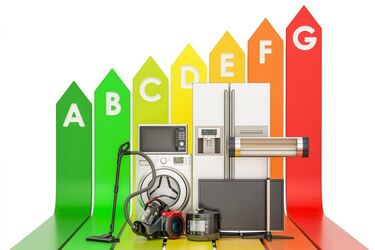 What household appliances can be left unplugged while on holiday