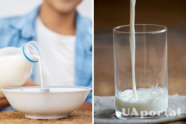 Как проверить молоко на натуральность