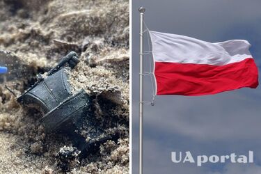 У польському лісі виявили старовинні прикраси готів (фото)