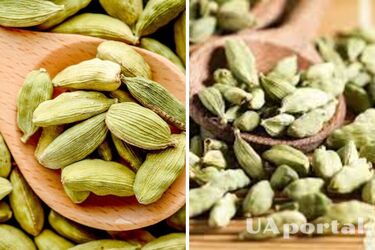 Як прискорити метаболізм: допоможе одна спеція