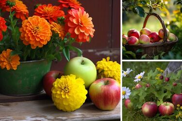 Яблочный Спас-2023: лучшие поздравления на украинском языке и красивые картинки