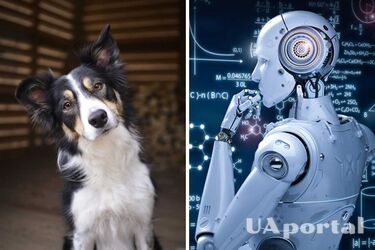 Ученые разрабатывают переводчик для языка животных на основе искусственного интеллекта