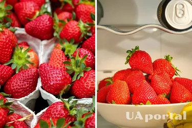 Забудьте про пластикові контейнери: як зберігати полуницю в холодильнику свіжою до двох тижнів