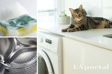 Як зібрати шерсть в пральній машині - що збирає шерсть у пральній машині