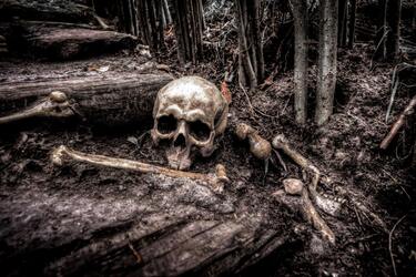 Ученые выяснили, для чего народ Хирота в Японии намеренно деформировал черепа детям