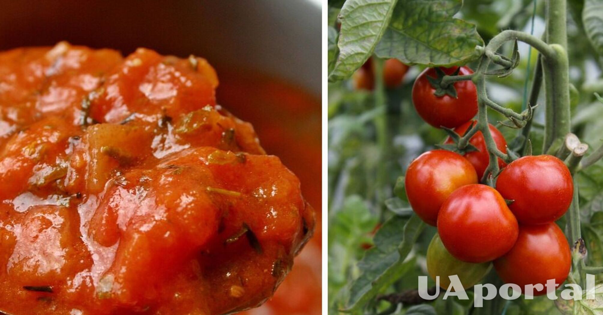 Травяной соус к пасте