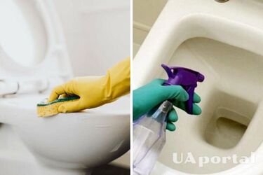 Eliminates the cause of unpleasantness: how to clean the toilet