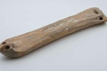 Skates 3000 years old found in China