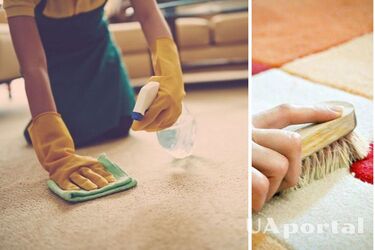 Without the use of chemicals: how to easily clean a carpet