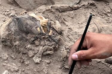 Вчені вперше за 100 років розкрили причину смерті 'Андської мумії' з деформованим черепом