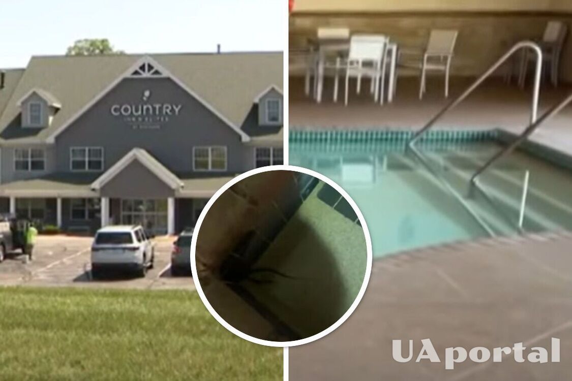 В США отель оккупировали змеи: купались в бассейне и джакузи (видео)