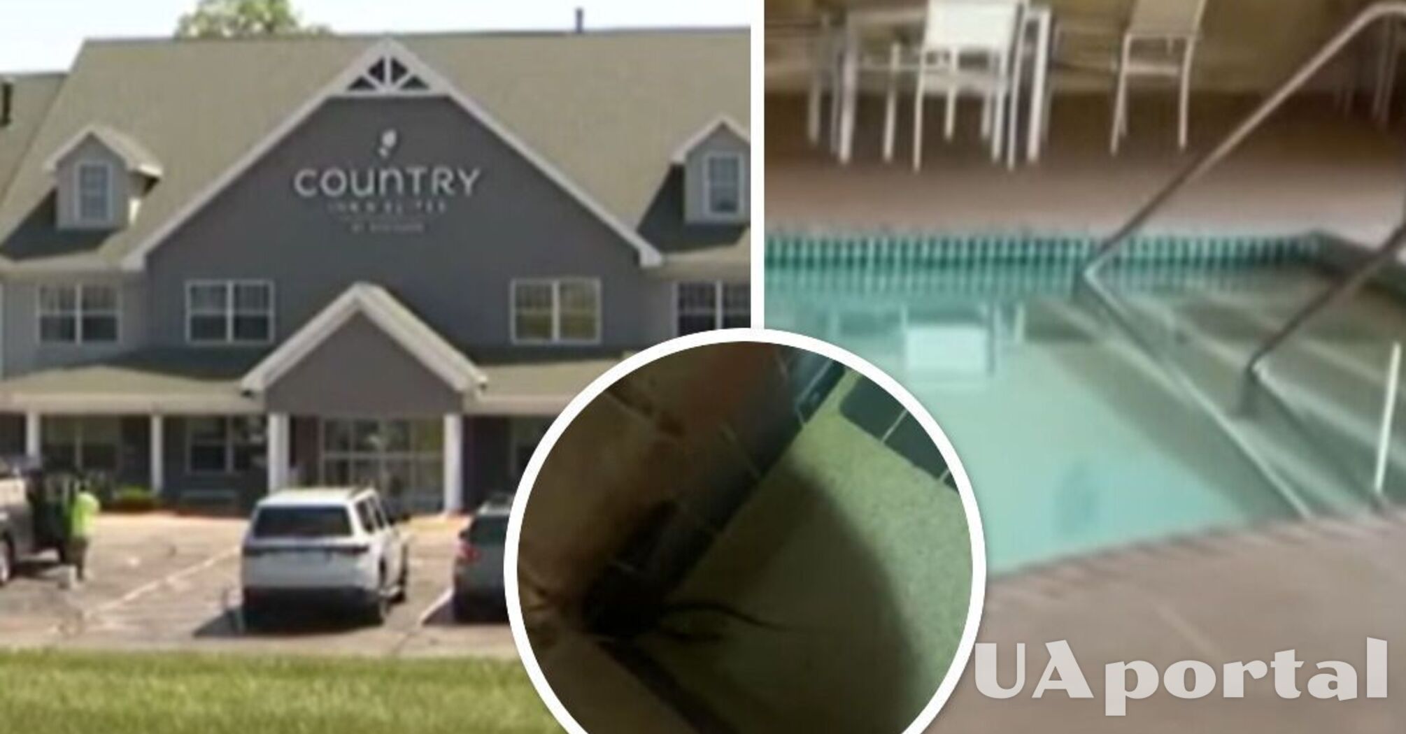 У США готель окупували змії: купалися в басейні та у джакузі (відео)