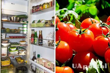 Почему помидоры нельзя хранить в холодильнике: неожиданное объяснение