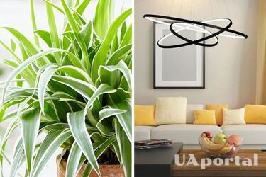 Пять предметов интерьера, на которые не стоит тратить большие деньги: советы дизайнеров