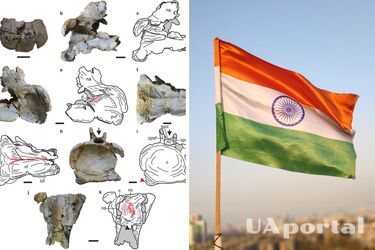 В Индии обнаружили древние останки одного из динозавров юрского периода (фото)