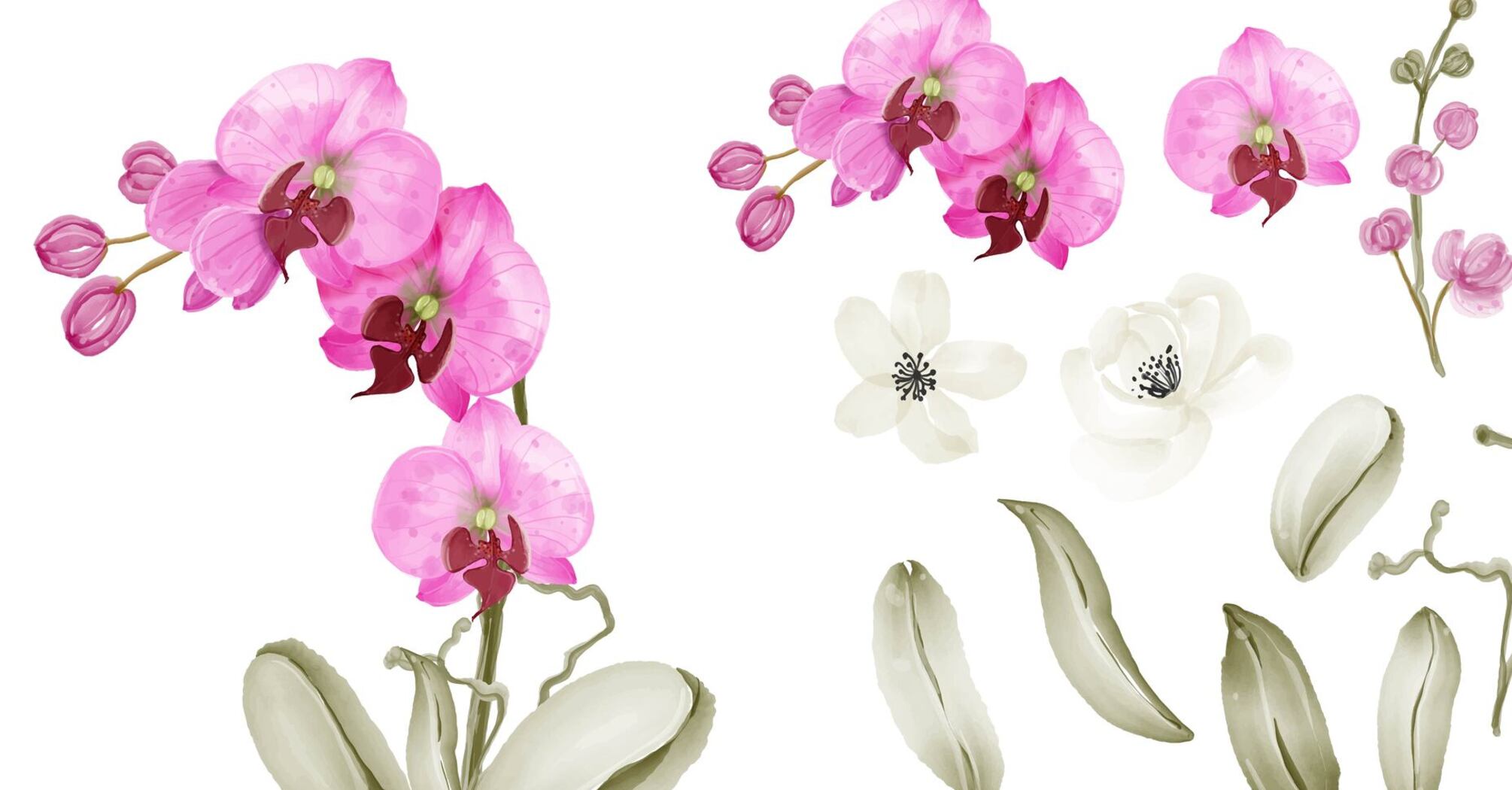 Як орхідеї можуть впливати на людину