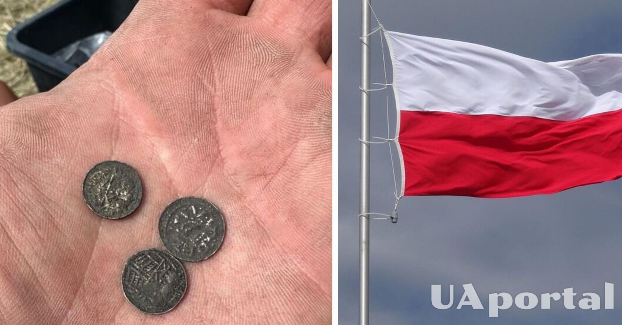 У Польщі на місці середньовічної фортеці виявили колекцію тисячолітніх монет (фото)