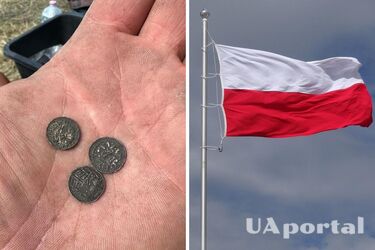 В Польше на месте средневековой крепости обнаружили коллекцию тысячелетних монет (фото)
