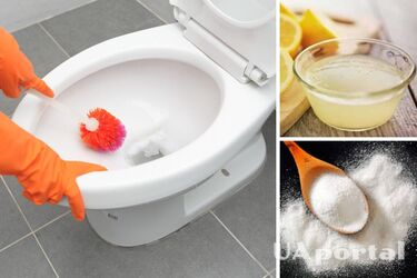 Як відмити дно унітазу - Як очистити унітаз від нальоту народним способом