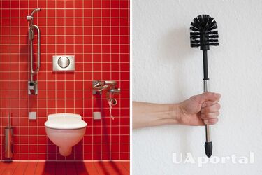 Housewives named two cheap products that will permanently remove plaque from the toilet