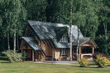 Какую опасность может принести береза, растущая возле вашего дома