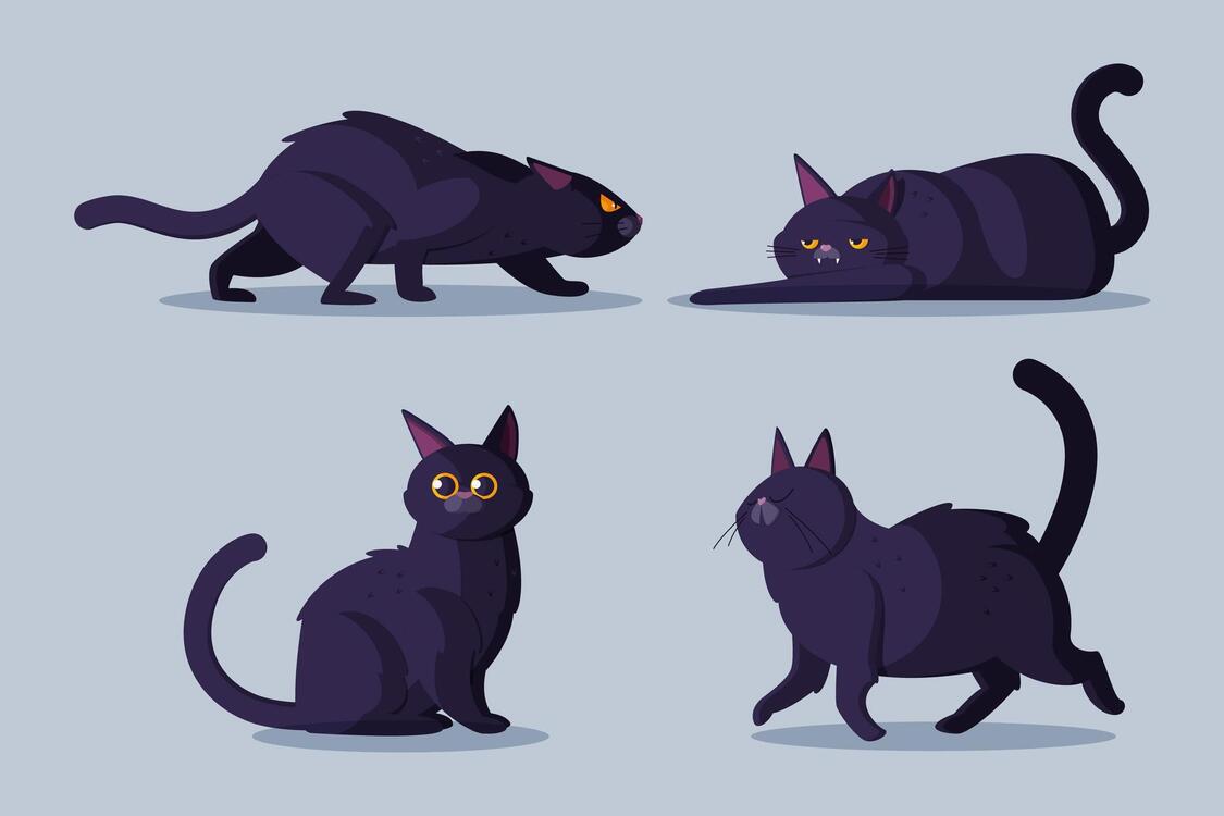 Что будет, если черный кот перебежит дорогу: объяснение народного предрассудка