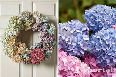 Як зробити вінок із засушених гортензій: покрокова інструкція (фото)