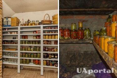 How to protect the cellar from fungus and moisture: tips from the owners