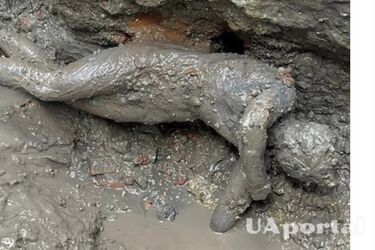 Twenty 2000-year-old statues of people and gods in perfect condition found in Italy