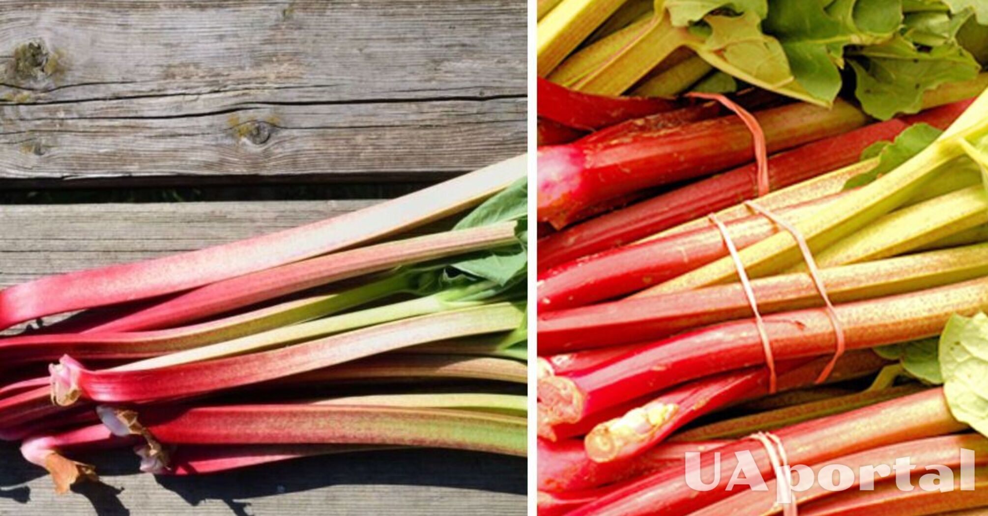 Nutritionists have named 8 reasons to eat rhubarb 