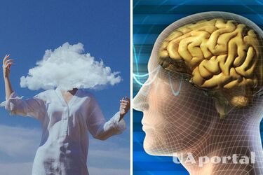 Учені знайшли спосіб покращити пам'ять майже вдвічі