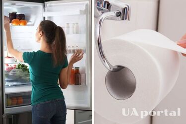 Зачем класть туалетную бумагу и губку в холодильник: совет от хозяек