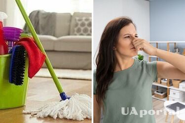 Хозяйки рассказали, как избавиться от запаха старости в съемной квартире
