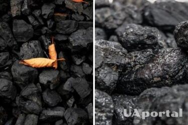 Ученые доказали, что люди использовали уголь еще 3600 лет назад