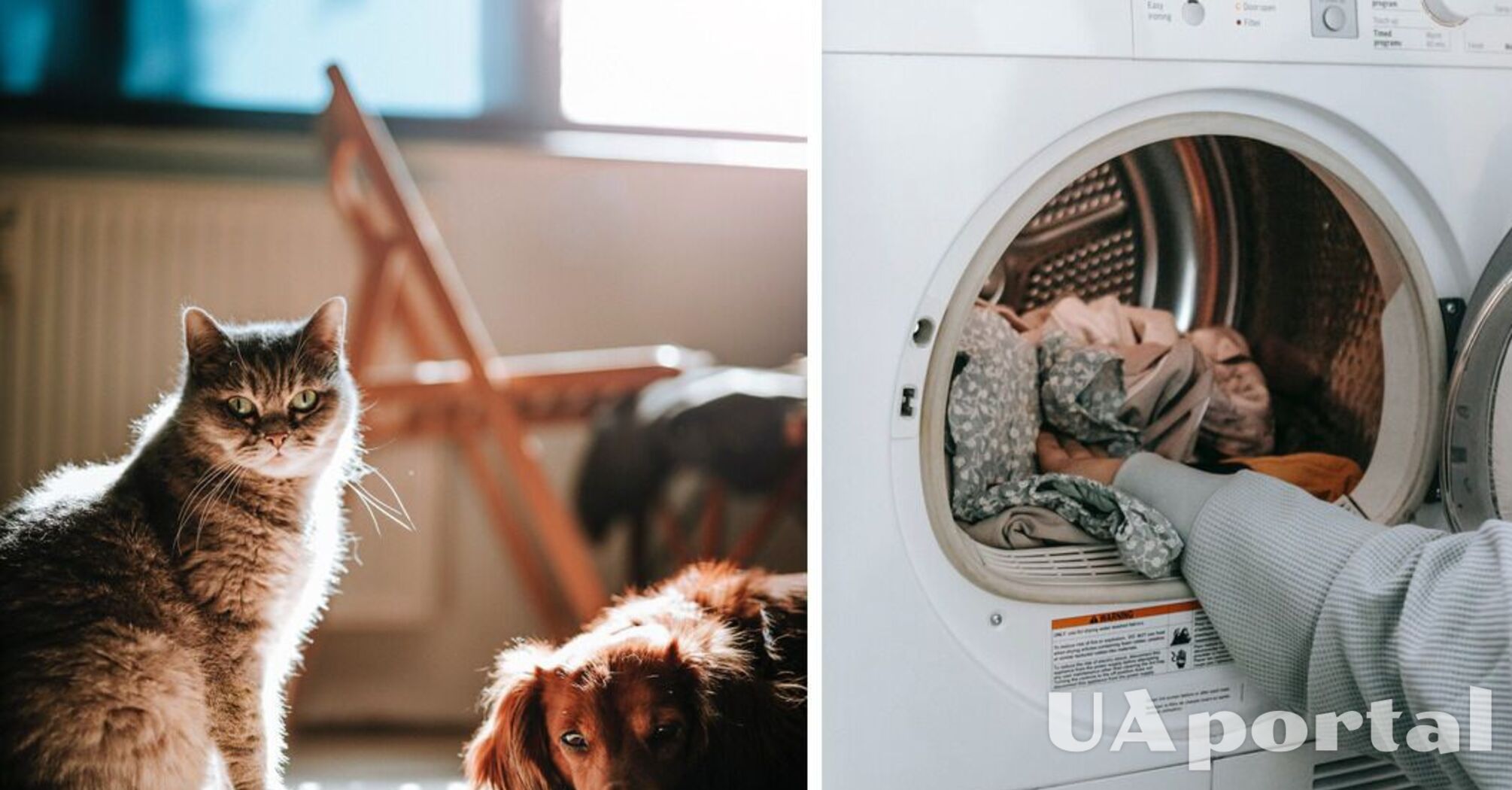 Як прибрати шерсть тварин з пральної машини - Як позбавитися від котячої шерсті