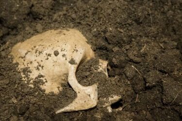 Ancient city with traces of 4300 years old sacrifices discovered in China