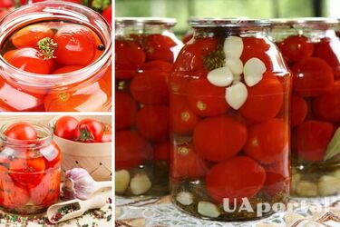 Консервируем помидоры без уксуса: самый простой рецепт