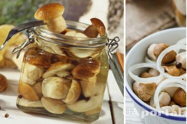 Как сделать маринованные белые грибы в банках