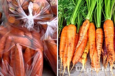 Господині пояснили, де та як зберігати моркву, щоб вона лишалася свіжою
