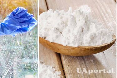 Why add starch to window cleaning solution: tips for housewives