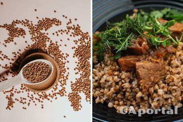 Як правильно приготувати гречану кашу - як правильно варити гречку пропорції води