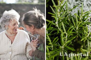 Как избавиться от седых волос - маска для седых волос