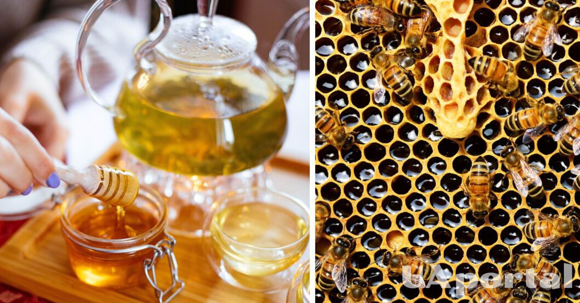 How to distinguish natural honey from artificial - how to check natural honey or not