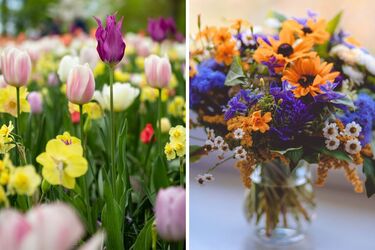 Что сделать, чтобы цветы долго стояли в весе – как хранить срезанные цветы