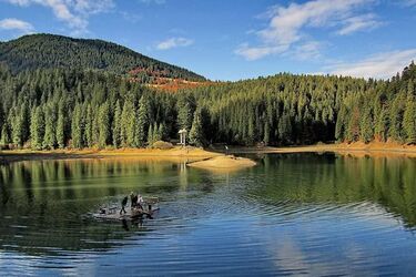 Сколько озер купания в карпатском регионе: Популярные и удобные места для отдыха на водоемах Карпат